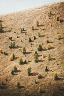 Philipp Heigel, SIGNS OF FALL. (Italy, Europe)