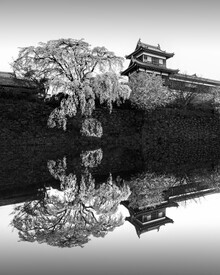 Ronny Behnert, Sakura Koriyama | Japan