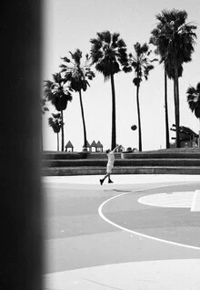 Photo art by Jan Henryk Köppen: black-and-white image of basketball and palm trees in LA.