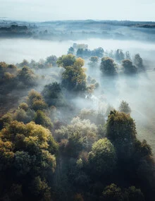 Fotokunst von Maximilian Fischer: sanfte Umarmung des Herbstes mit Nebel und Bäumen