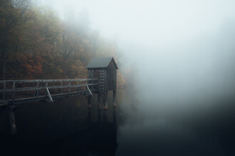 Maximilian Fischer, Hometown Glory