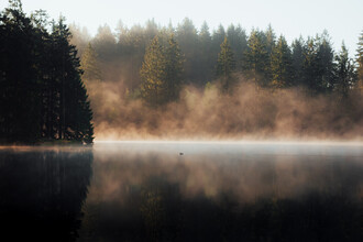 Maximilian Fischer, Spring Fire