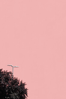 Rupert Höller, Hiding (Italy, Europe)