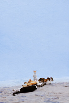 Rupert Höller, Nap Guard (Morocco, Africa)