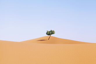 Rupert Höller, Home Alone (Morocco, Africa)