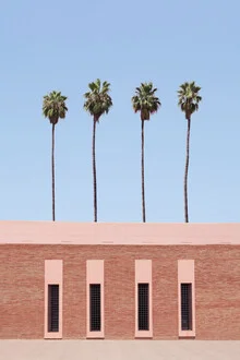 Fotokunst von Rupert Höller: Palmen vor einem blauen Himmel in Marokko.