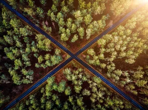 Photo art by Danny Schöning: calm sunset over a forest road