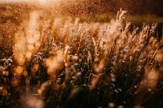 Beautiful photo art showcasing sunlight and rain in harmony.