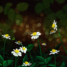 Katherine Blower, White Flowers