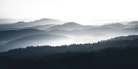Fotokunst von Philipp Pablitschko: sanfte Hügel im Nebel bei Sonnenaufgang