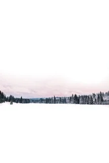 Winterliches Tal in Modrava, Tschechische Republik mit schneebedeckten Bäumen