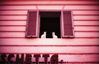 Wolfgang Filser, twocoolcats (Italy, Europe)