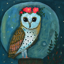 Anita Letuve, Owl by Night (Netherlands, Europe)