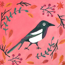 Anita Letuve, Monsieur Magpie (Niederlande, Europa)