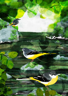 Katherine Blower, Grey Wagtails