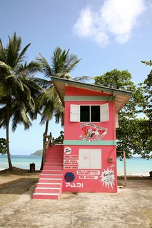 Buntes Haus auf Tobago - fotokunst von Lioba Schneider