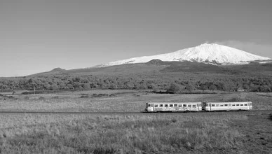 Photo art by Domenico Piccione: train journey through green fields in Sicily
