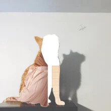 Illustration von Marko Köppe: eine Katze in surrealer Umgebung, die träumerisch wirkt.