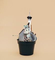 Marko Köppe, flowerpot life
