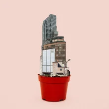 Illustration by Marko Köppe: surreal flowerpot in dreamland