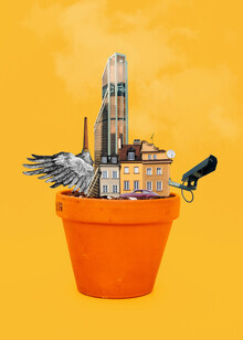 Marko Köppe, flowerpot life 7