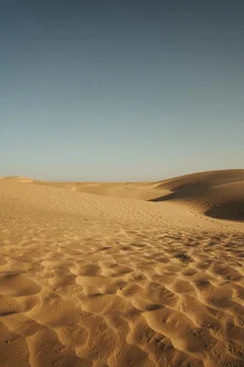 Fotokunst von David Wurth: Spuren im Sand der Thar-Wüste bei Sonnenuntergang