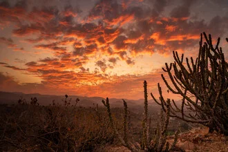 Photo art by David Wurth: gentle sunset over an Indian landscape