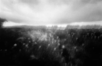Fotokunst von Sabine Alex: Blumenwiese unter dramatischen Wolken