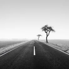 Photo art by Thomas Wegner: tranquil road among winter trees