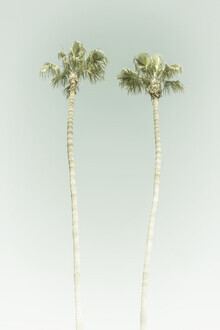 Melanie Viola, Vintage Palm Trees - United States, North America)
