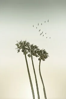 Wall art featuring vintage palm trees at sunset, conveying a relaxing beach vibe