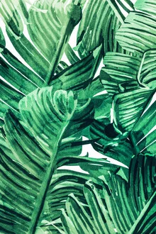 Wall art by Uma Gokhale: tropical plants in vibrant colors