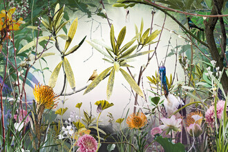 Jesper Krijgsman, Isles of Wonder (Australien, Australien und Ozeanien)
