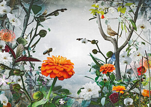 Jesper Krijgsman, Sweet Summer (Switzerland, Europe)