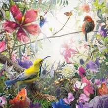 Wall art featuring a colorful depiction of birds, flowers, and plants in a summer paradise.