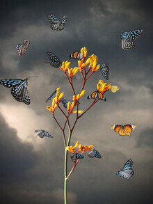 Jesper Krijgsman, Before the Storm (Thailand, Asia)