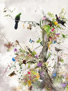 Wandbild von Jesper Krijgsman: bunte Schmetterlinge unter einem klaren Himmel