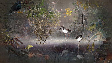 Jesper Krijgsman, Water Reflection (Switzerland, Europe)