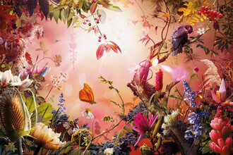 Jesper Krijgsman, Gleam of Hope (Switzerland, Europe)