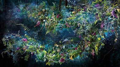 Jesper Krijgsman, Awakening (Switzerland, Europe)