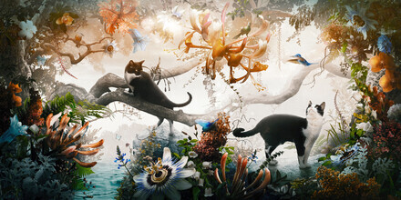 Jesper Krijgsman, Electric Jungle (Netherlands, Europe)