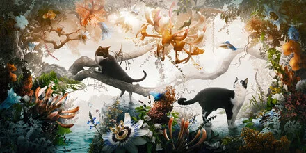 Illustration by Jesper Krijgsman: vibrant jungle scene with animals and plants.