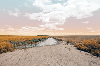 Matt Taylor, Heartland's Horizon
