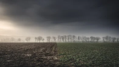 Photo art by Tillmann Konrad: gentle mist over a winter field