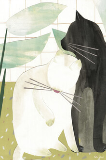 Merle Schewe, Cats from Lisboa - Portugal, Europe)