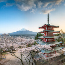 Jan Becke, Chureito Pagode und Berg Fuji im Frühling (Japan, Asien)