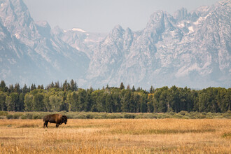 Christoph Schaarschmidt, grand teton (Vereinigte Staaten, Nordamerika)