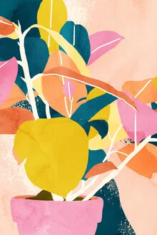 Illustration von Uma Gokhale: lebendige Farben einer pflanzenfreundlichen Umgebung
