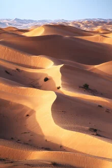 Fotokunst von Jean Claude Castor: Dünenlandschaft der Rub Al Khali Wüste im Oman
