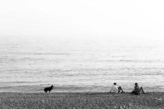 Black dog sitting calmly by the blue sea, enjoying the beach.